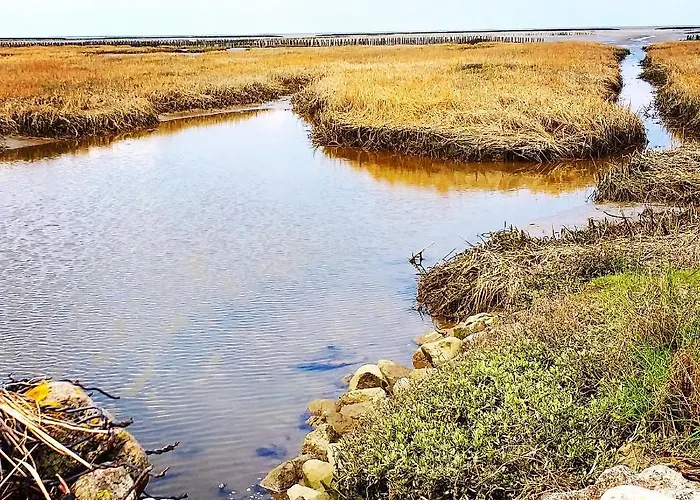 Frühstückspension Ahoi Wesselburenerkoog